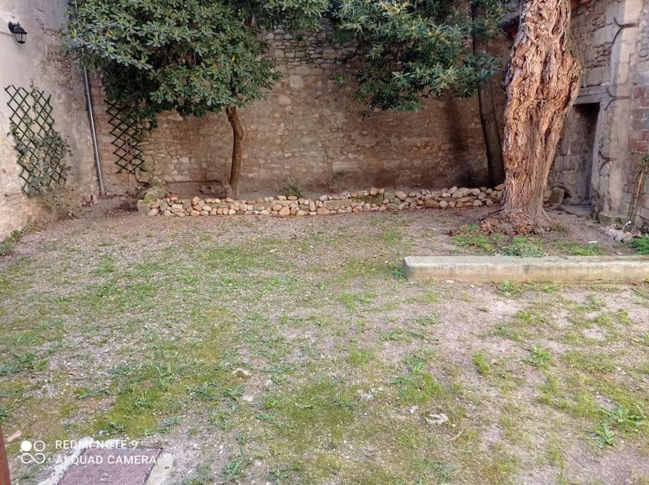 Loft Vue Palais Des Papes Διαμέρισμα Αβινιόν Εξωτερικό φωτογραφία